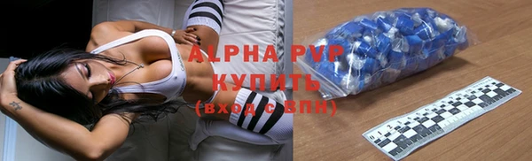 apvp Алзамай
