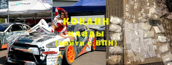 твердый Алексин