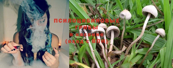 твердый Алексин