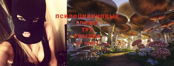 apvp Алзамай