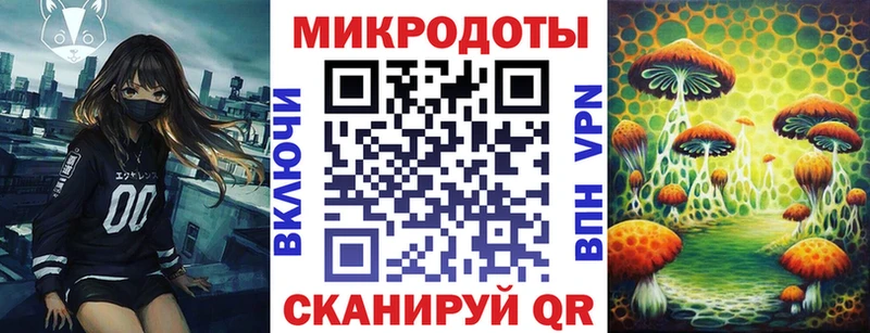 Псилоцибиновые грибы прущие грибы  Балашов 
